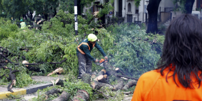 Realizan levantamiento de troncos tras tormenta 