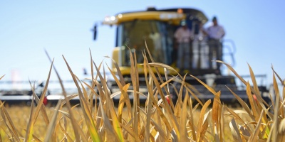 Ganader�a otorg� 30 millones de d�lares en convocatorias