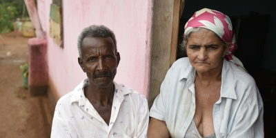 Preocupaci�n en sur de Brasil ante emergencia por fiebre amarilla