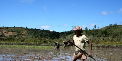 Emergencia alimentaria en la isla africana de Madagascar, arrasada por la sequ�a.