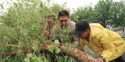 Gestionan diferir pagos patronales a productores afectados 
