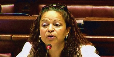 Diputada Andrade: En el Fondo de Solidaridad hay voracidad fiscal