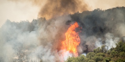 Incendios forestales consumen casi 90.000 hect�reas en Chile
