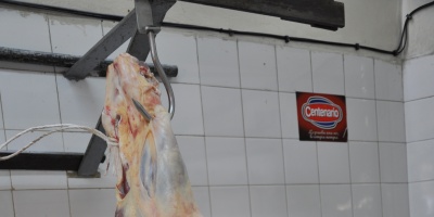 Advierten sobre que podr�a trancarse la venta de carne bovina a EE.UU