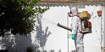 Eval�an realizar fumigaci�n en zona de paciente afectado 