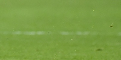 El rugbier uruguayo Cap� Ortega renueva con el Castres hasta 2018