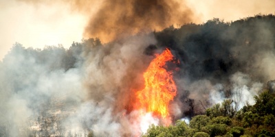 Cuatro muertos por incendios forestales en Chile: casi 190.000 hect�reas afectadas