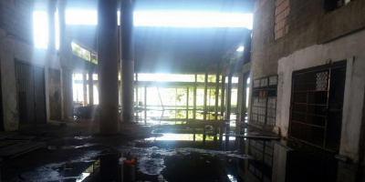 Advierten sobre la eventual presencia del aedes aegypti en c�rceles