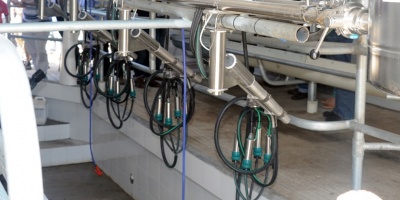 Tamberos reclaman ajuste en precio de leche tarifada 