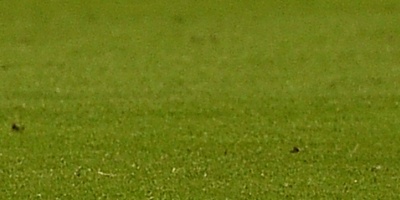 El Valencia destituye a Kempes como embajador internacional