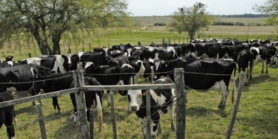 Productores formalizan solicitud de aumento en el precio de la leche