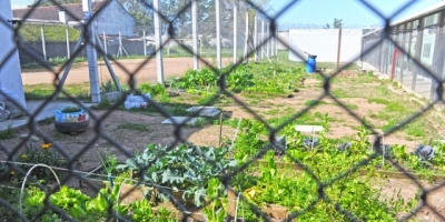 Canelones: Intendencia destinar� 20 mil pesos mensuales para siete productores afectados agua contaminada