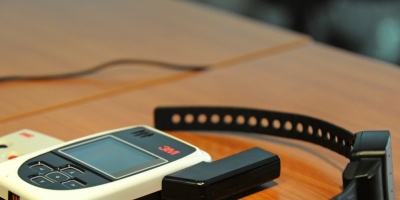 V�zquez espera aprobaci�n de ley sobre femicidio  