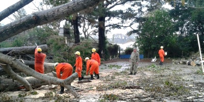 Vientos destruyeron una planta sojera