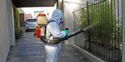 Intendencia de Montevideo no fumigar� contra mosquitos 