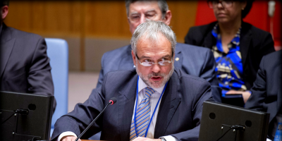 Cancela ante comisi�n parlamentaria 