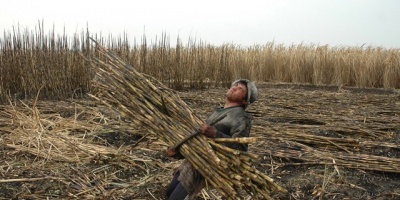 Dos ca�eros de Artigas continuaban en huelga de hambre frente al Palacio Legislativo