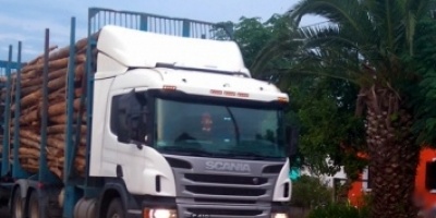 El Sutcra no volver� a bloquear la planta de ANCAP en La Tablada