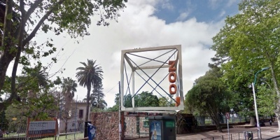 Falleci� la jirafa del zool�gico Villa Dolores