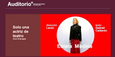 Estela Medina presenta �S�lo una actr�z de teatro�, obra de Gabriel Calder�n, dirigida por Lev�n