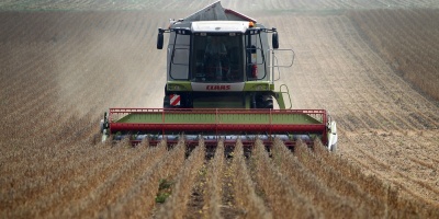 Exportar�n 120.000 toneladas de soja para China y Europa  