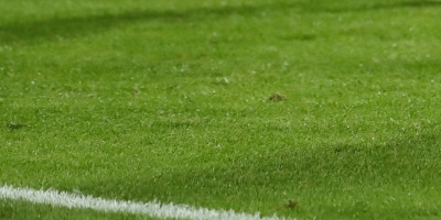 Boca visita a V�lez para consolidarse al tope del torneo argentino