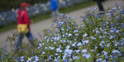  Temperaturas oto�ales y lluvias desde el mi�rcoles