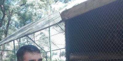 ONG reclama conocer paradero del mono "Miguelito" de Salto 