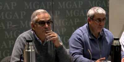 Un millar de denuncias sobre maltrato animal