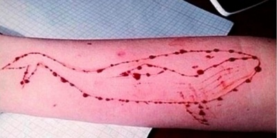 La polic�a investiga un total de 25 casos de �La ballena azul� 