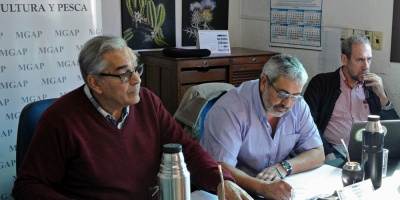 Gobierno afirma que trabaja con productores lecheros