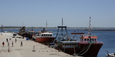 Empresarios chinos eval�an inversi�n en Rocha