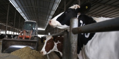 Gremiales lecheras esperan acuerdo con Econom�a