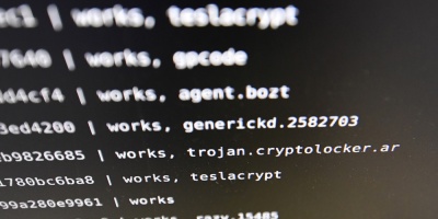 Bajos niveles de afectaci�n en Uruguay de masivo virus