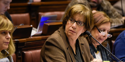 Arismendi compareci� en el Parlamento