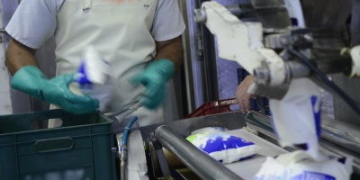 Veinte personas detenidas por estafa contra Conaprole