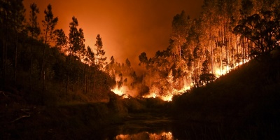 Decenas de muertos deja incendio forestal en Portugal