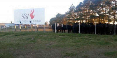 Trabajadores de PUL alcanzaron acuerdo con la empresa