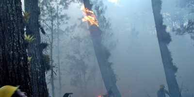 Violentos incendios forestales en el sur de Europa