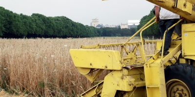 Rusia apunta a exportaciones de cereales rcord a pesar de una cosecha en baja