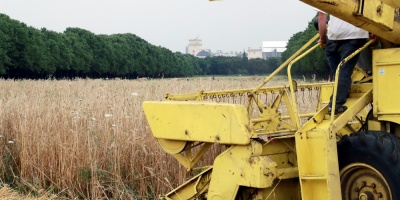 Rusia apunta a exportaciones de cereales r�cord a pesar de una cosecha en baja