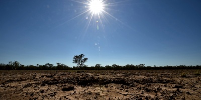 El cambio climtico reducir el rendimiento de cultivos, dice estudio