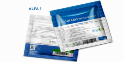 Primera farmacia que abandona la venta de marihuana