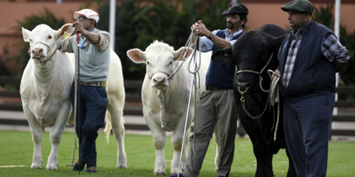 Comenz la Expo Prado 2017