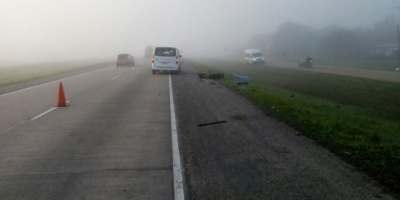 Padre e hijo mueren tras ser embestidos por un auto en Ruta 1