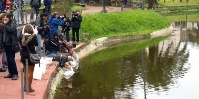 Los peces ya nadan en el lago del Parque Rod�