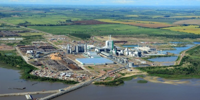 Almagro: Uruguay tiene capacidad para instalar hasta cuatro plantas de celulosa