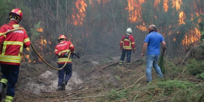 Aumenta a 42 el n�mero de muertos en los incendios de Portugal