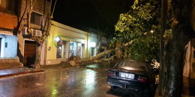 �rboles ca�dos y clientes sin luz por fuertes vientos