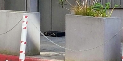 Un malet�n sospechoso genera falsa alarma en una sinagoga